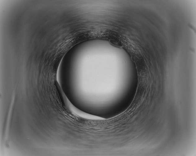 X0000097640033200802291416