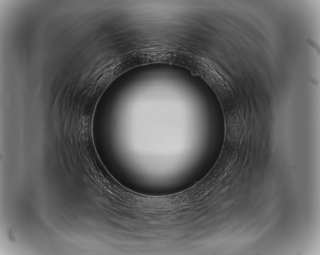 X0000097640034200802291416