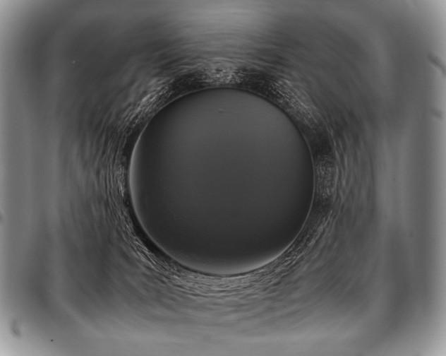 X0000097640035200802291415