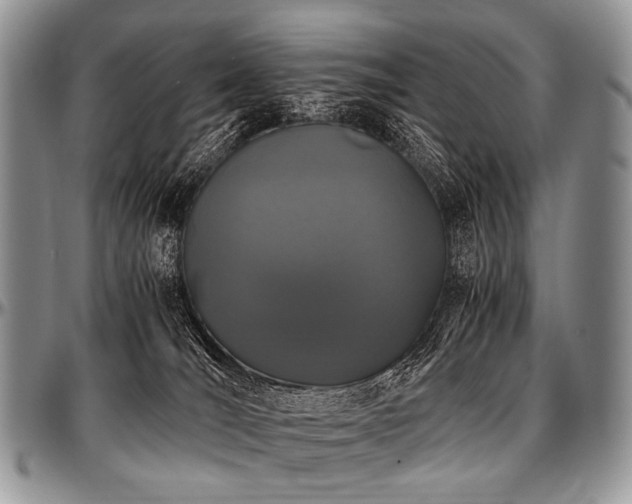 X0000097640036200802291415