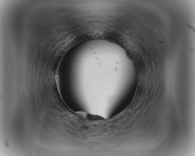 X0000097640037200802291415