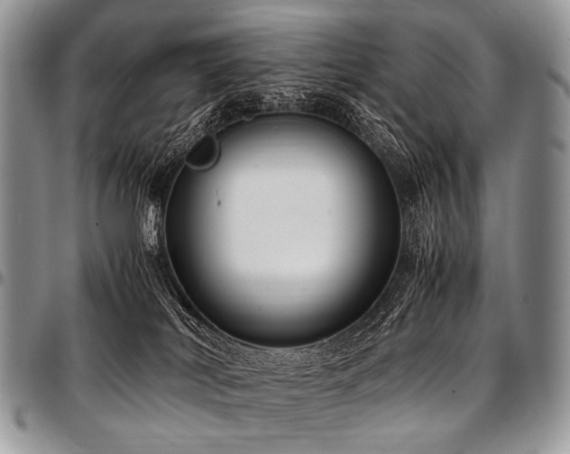 X0000097640038200802291415