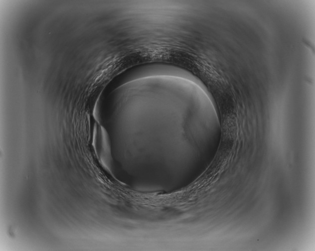 X0000097640039200802291415