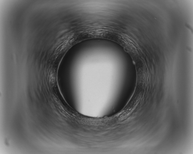 X0000097640040200802291415