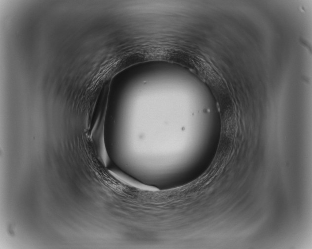 X0000097640041200802291415