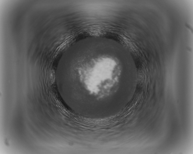 X0000097640043200802291415