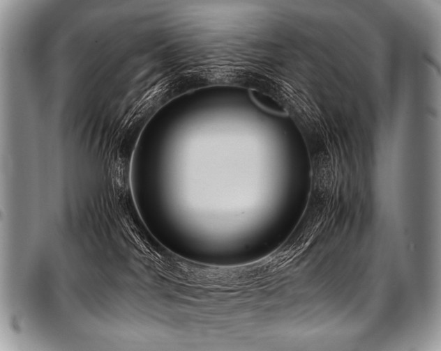 X0000097640044200802291415