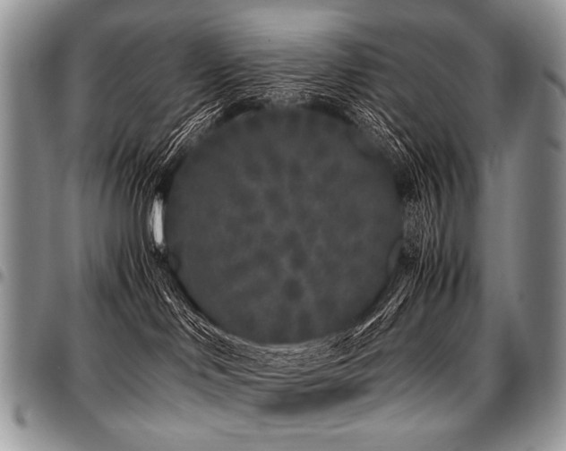 X0000097640046200802291415