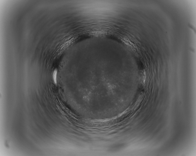 X0000097640047200802291415