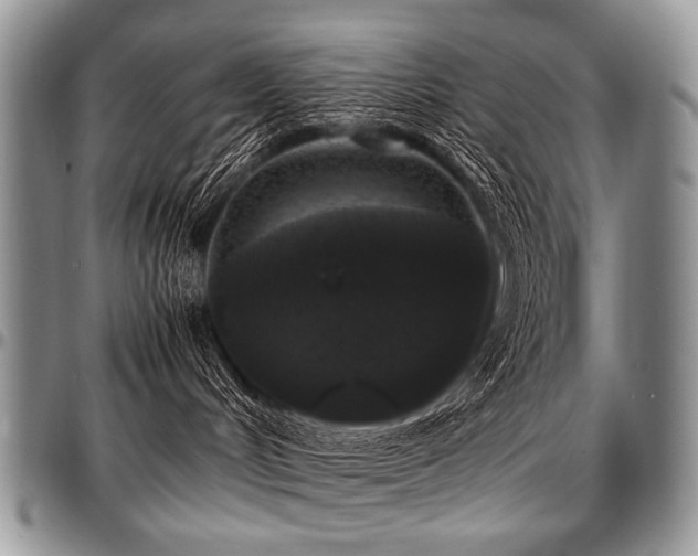 X0000097640048200802291415