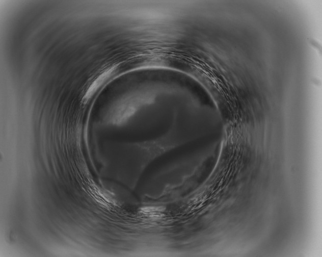 X0000097640051200802291415