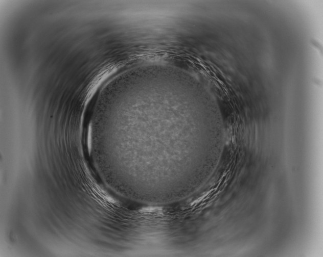 X0000097640052200802291415