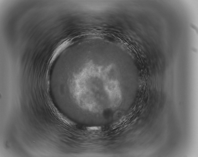 X0000097640053200802291415