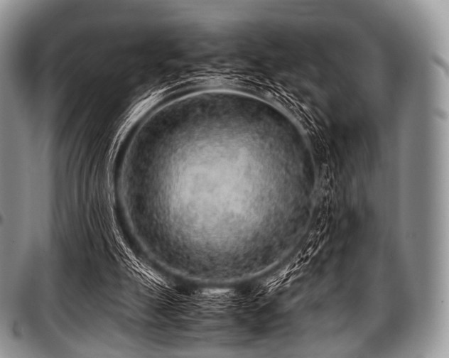 X0000097640055200802291415