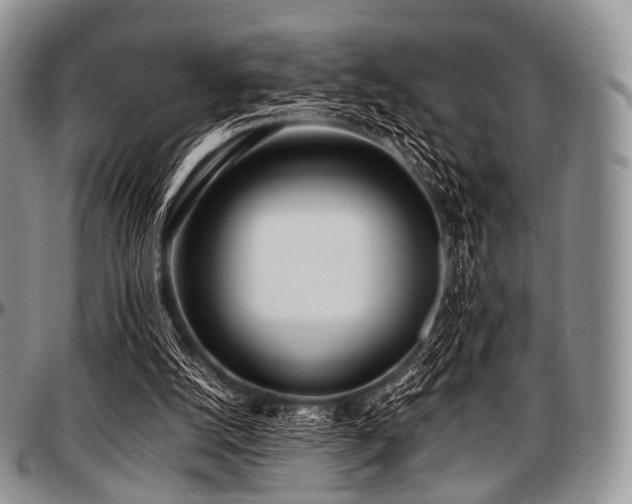 X0000097640056200802291415