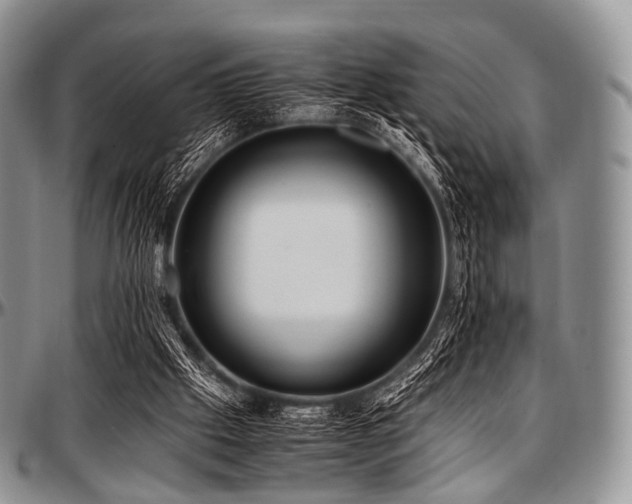 X0000097640057200802291415