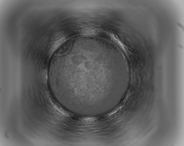 X0000097640059200802291415