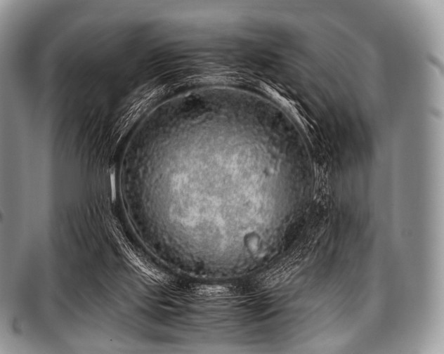 X0000097640061200802291415