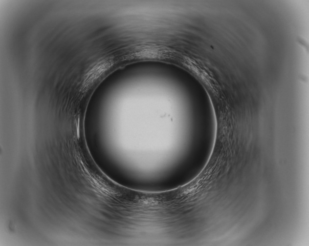 X0000097640062200802291415