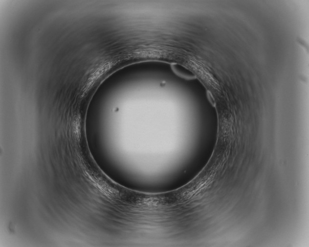 X0000097640064200802291415