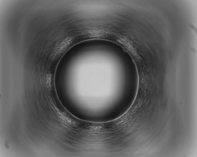 X0000097640066200802291415