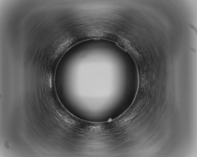 X0000097640068200802291415