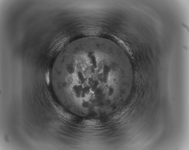 X0000097640069200802291415