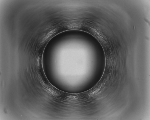 X0000097640071200802291415