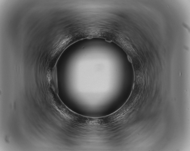 X0000097640072200802291415