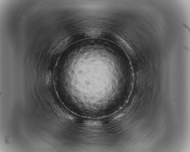 X0000097640073200802291415