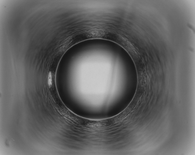 X0000097640075200802291415