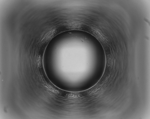 X0000097640077200802291415