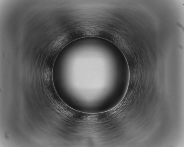 X0000097640078200802291415