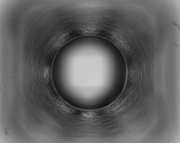 X0000097640079200802291415