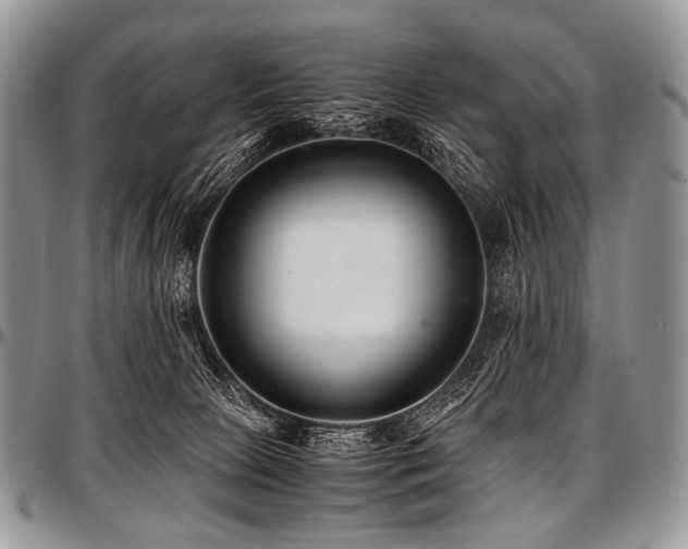 X0000097640081200802291415