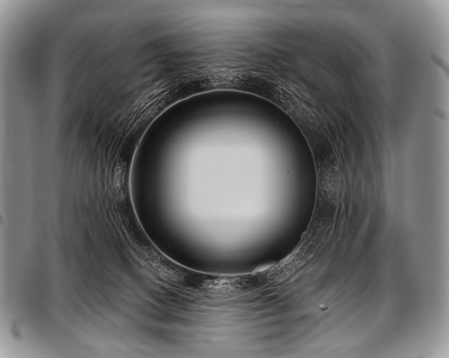 X0000097640082200802291415