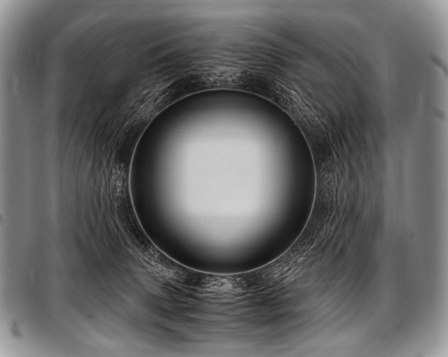 X0000097640083200802291415