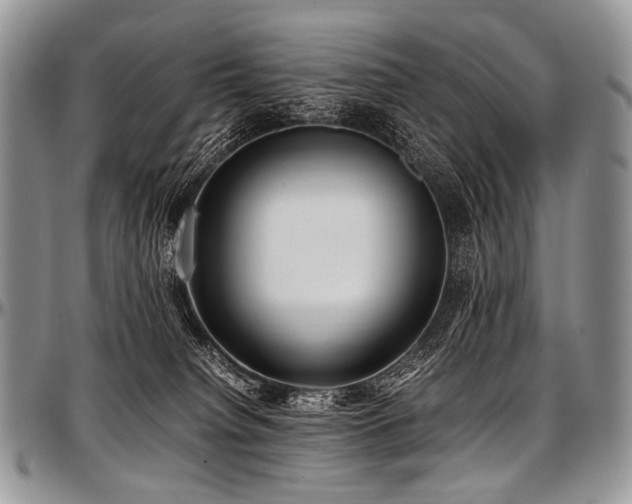 X0000097640084200802291415