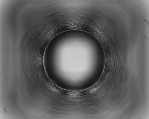 X0000097640085200802291415