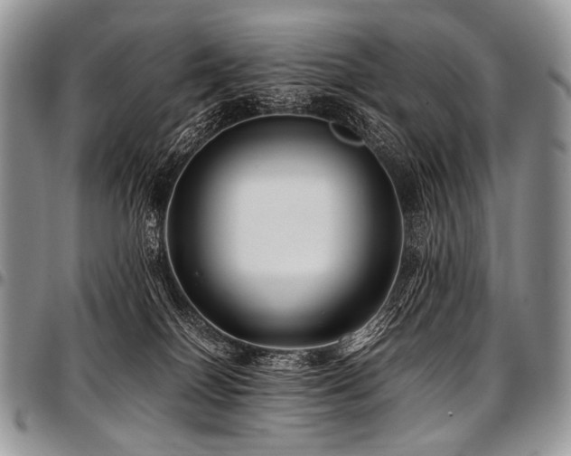 X0000097640086200802291415