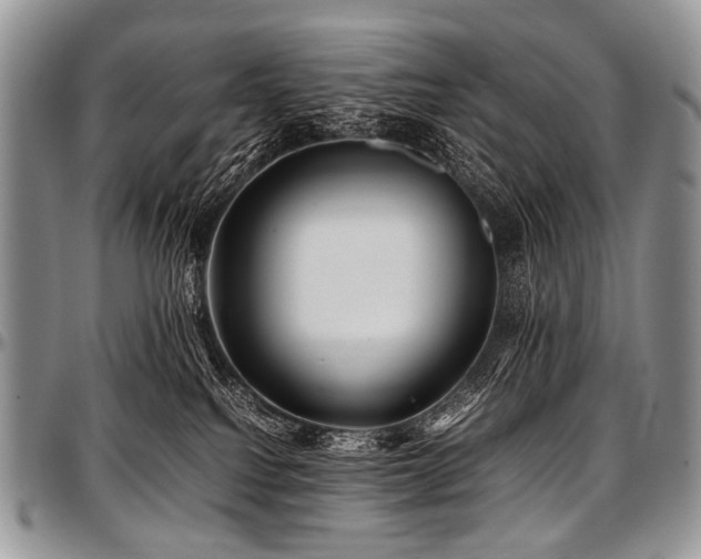 X0000097640088200802291415