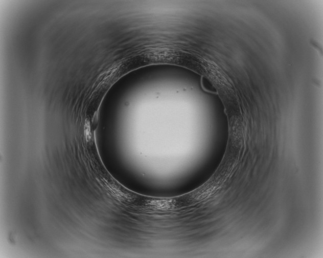 X0000097640089200802291415