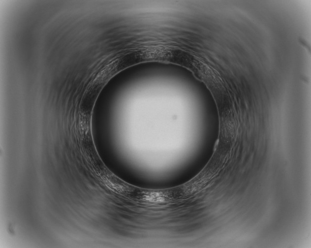 X0000097640091200802291415