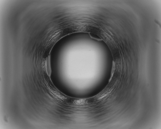 X0000097640092200802291415