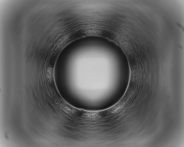 X0000097640093200802291415