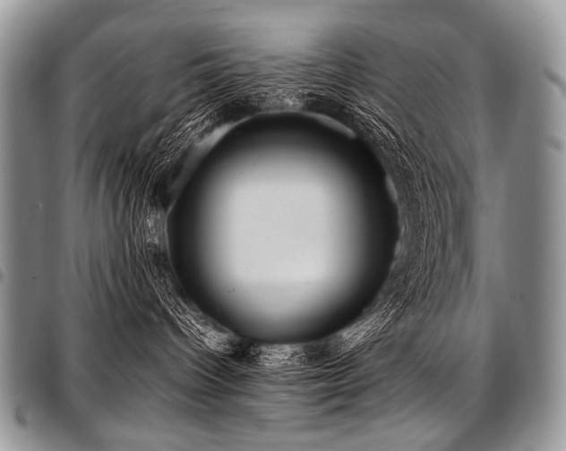 X0000097640096200802291415