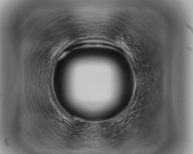 X0000097640097200802291415