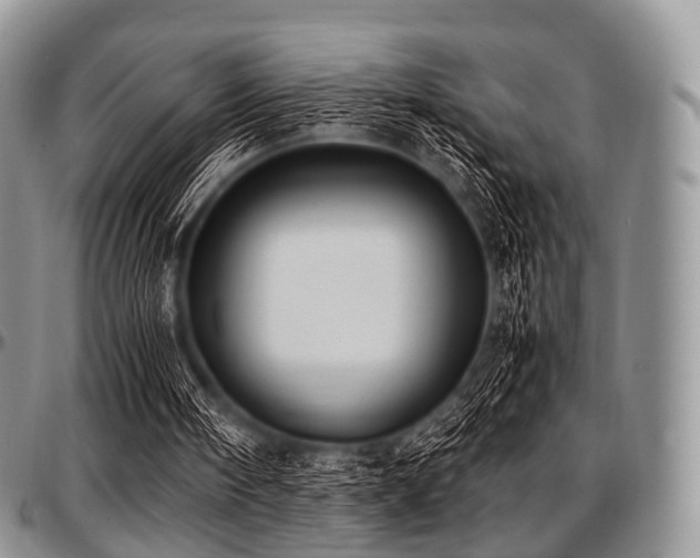 X0000097640098200802291415