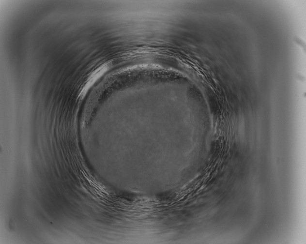 X0000097640099200802291415