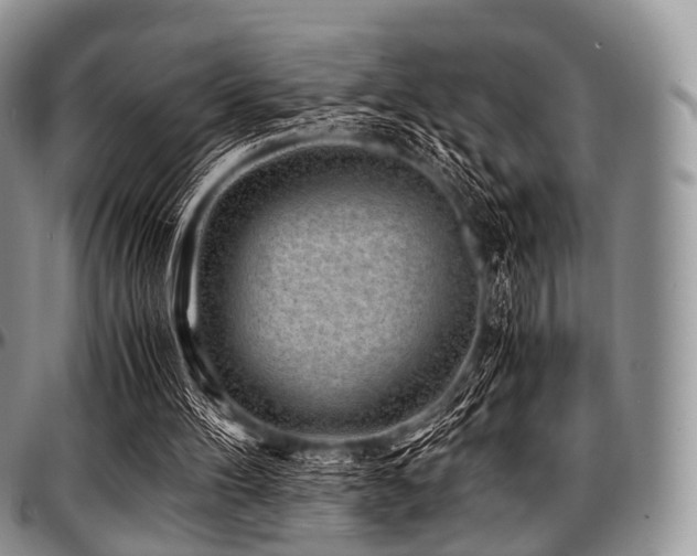 X0000097640100200802291415